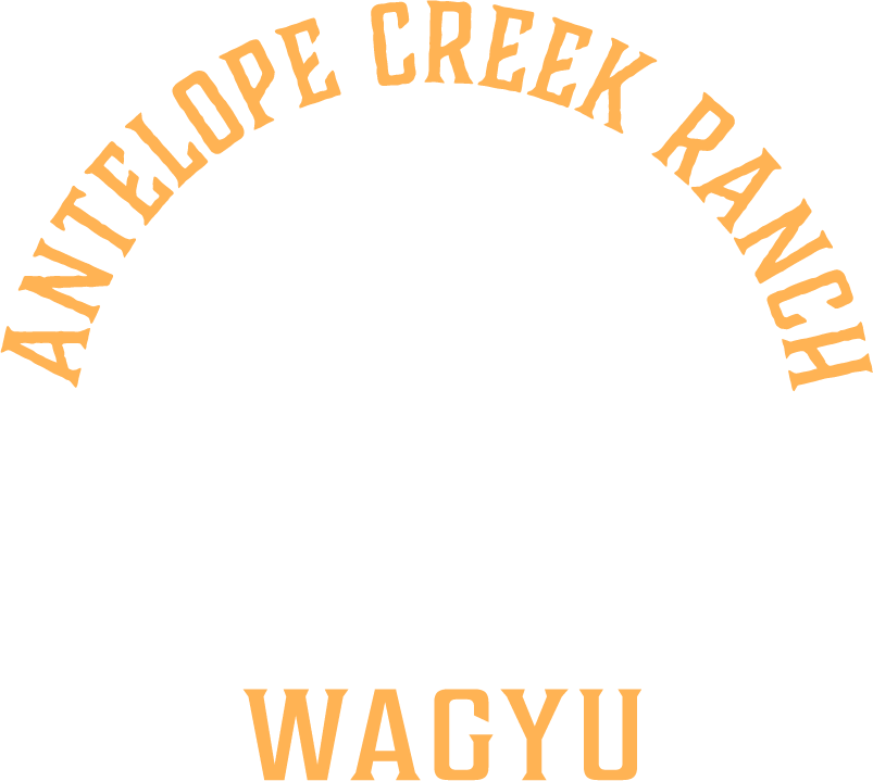 Antelope Creek Ranch Wagyu